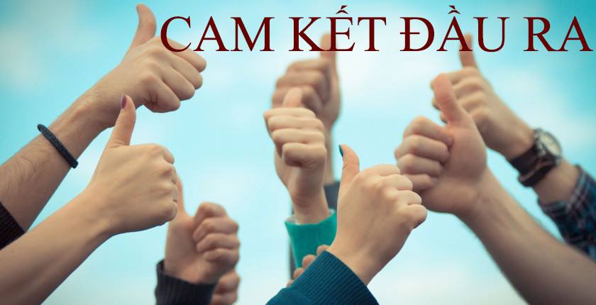 cam ket dau ra